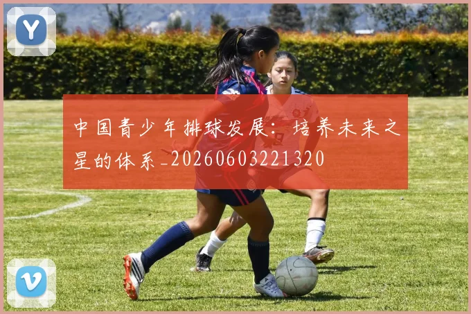 中国青少年排球发展:培养未来之星的体系_20260603221320